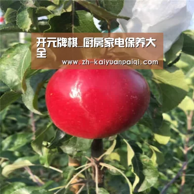 开元牌棋_厨房家电保养大全(图1) 开元牌棋